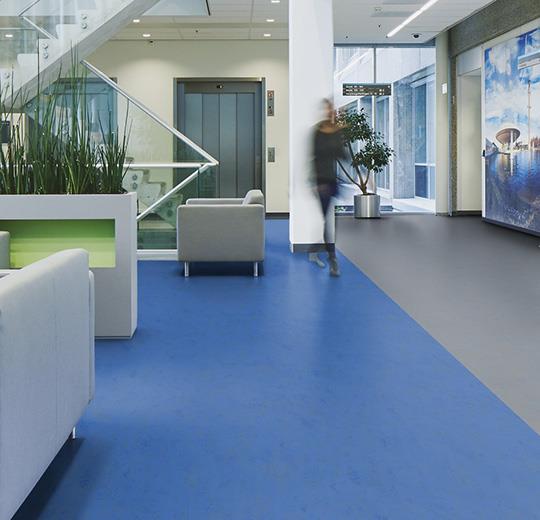 Forbo Marmoleum Solid Concrete 3739 Blue Glow Linoleum Flooring