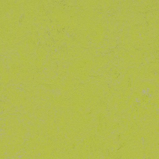 Forbo Marmoleum Concrete 3742 Green Glow Linoleum Sheet Flooring
