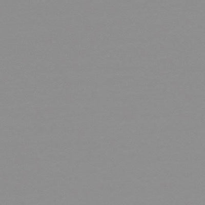 Forbo Marmoleum Walton Uni 186 Lead Linoleum Sheet Flooring (79" Width)