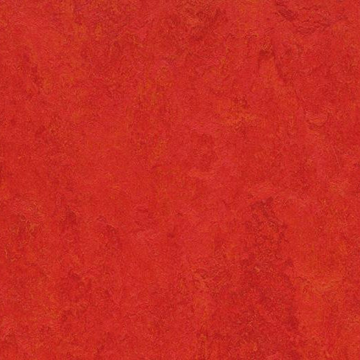 Forbo Marmoleum Modular Tile T3131 Scarlet 9.8" x 9.8" Linoleum Tile Flooring