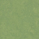 Forbo Marmoleum Marbled Fresco 3260-195573 Leaf Linoleum Sheet Flooring (79