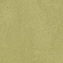 Forbo Marmoleum Marbled Fresco 3265-195574 Avocado Linoleum Sheet Flooring (79