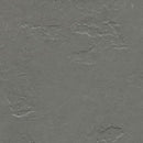 Forbo Marmoleum Modular Tile TE3745-195625 Cornish Grey 19.69