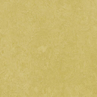 Forbo Mustard Linoleum Sheet 3259-195629 Marmoleum Marbled Fresco (79" Width)