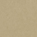 Forbo Marmoleum Marbled Fresco 3890-195655 Oat Linoleum Sheet Flooring (79