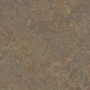 Forbo Marmoleum Marbled Vivace 3426-195657 Cork Tree Linoleum Sheet Flooring (79