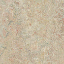 Forbo Marmoleum Marbled Vivace 3427-195658 Agate Linoleum Sheet Flooring (79