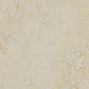 Forbo Marbled Splash 3433-195664 Rockpool Linoleum Sheet Flooring (79