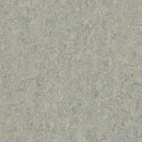 Forbo Marmoleum Marbled Terra 5802-195677 Alpine Mist Linoleum Sheet Flooring (79