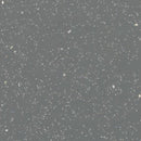 Forbo Eternal Step 172092 Granite Vinyl Sheet (79