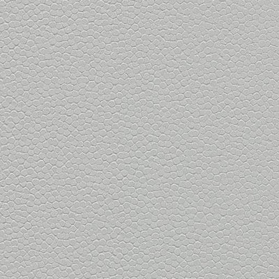 Forbo Greige Slip Resistant Sheet Vinyl 180482 Eternal Step Aqua SR (79" Width)