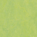 Forbo Marmoleum Modular Tile T3258-198167 Refreshing Green 9.8