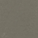 Forbo MCS 2.0 3723 Nebula Linoleum Sheet (79