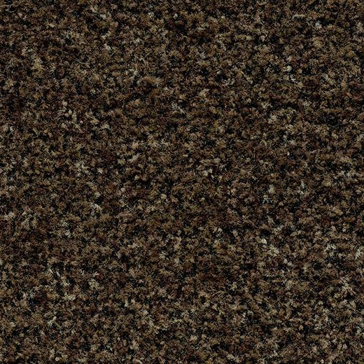 Forbo Coral Brush 5774 Biscotti Brown Entrance Flooring (80.7" Width)