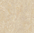 Forbo 2499 Sand (Partial Piece - Sample)