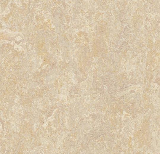 Forbo 2499 Sand (Partial Piece - Sample)