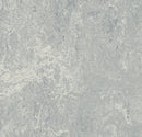 Forbo 2621 Dove Grey (Partial Piece - Sample)