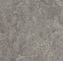 Forbo 2629 Eiger (Partial Piece - Sample)