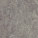 Forbo Marmoleum Marbled Real 2629-81064 Eiger Linoleum Sheet Flooring (79