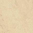Forbo Marmoleum Marbled Real 2713-80256 Calico Linoleum Sheet Flooring (79