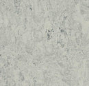 Forbo 3032 Mist Grey (Partial Piece - Sample)