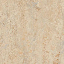 Forbo Marmoleum Marbled Real 3038-9755 Caribbean Linoleum Sheet Flooring (79