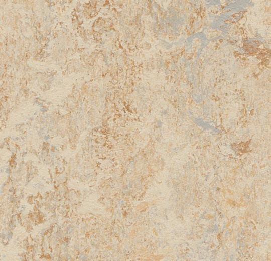 Forbo 3038 Caribbean (Partial Piece - Sample)