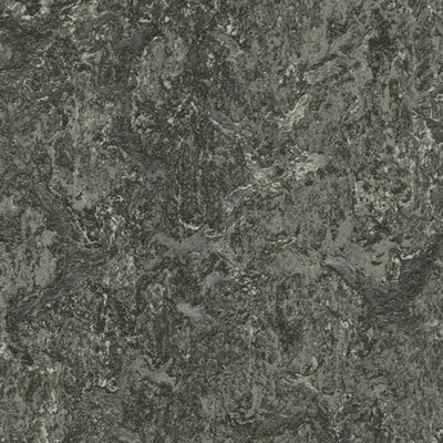 Forbo Graphite Linoleum Sheet 3048-9771 Marmoleum Real (79" Width)