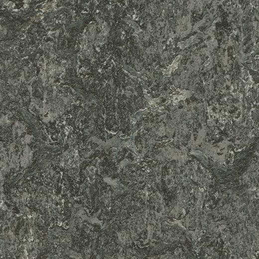 Forbo Marmoleum Real 3048 Graphite Linoleum Sheet Flooring