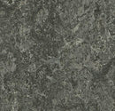 Forbo 3048 Graphite (Partial Piece - Sample)