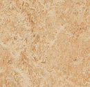 Forbo 3075 Shell (Partial Piece - Sample)