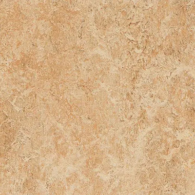Forbo Shell Linoleum Sheet 3075-9799 Marmoleum Real (79" Width)