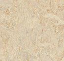 Forbo 3120 Rosato (Partial Piece - Sample)