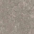 Forbo Marmoleum Marbled Real 3146-9289 Serene Grey Linoleum Sheet Flooring (79