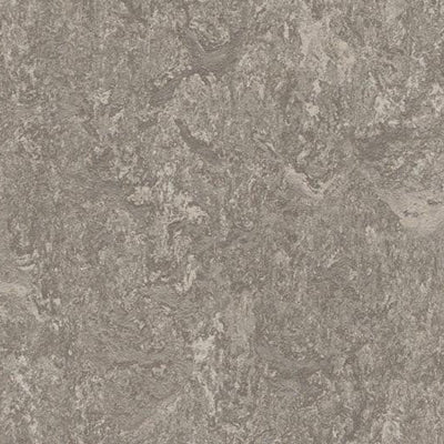 Forbo Marmoleum Marbled Real 3146-9289 Serene Grey Linoleum Sheet Flooring (79" Width)
