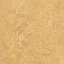 Forbo Marmoleum Marbled Real 3173-9321 Van Gogh Linoleum Sheet Flooring (79