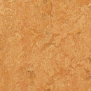Forbo Marmoleum Marbled Real 3174-9327 Sahara Linoleum Sheet Flooring (79