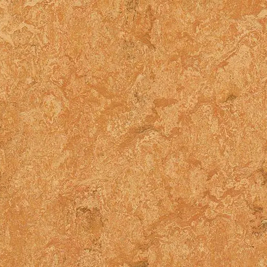 Forbo Marmoleum Real 3174 Sahara Linoleum Sheet Flooring