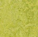 Forbo 3224 Chartreuse (Partial Piece - Sample)