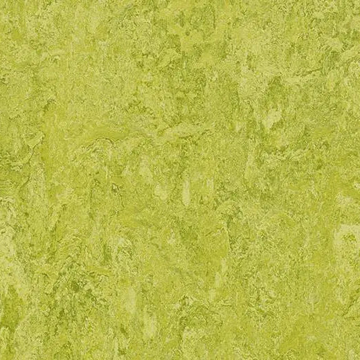 Forbo Marmoleum Real 3224 Chartreuse Linoleum Sheet Flooring