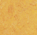 Forbo 3225 Dandelion (Partial Piece - Sample)