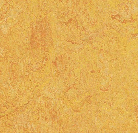 Forbo 3225 Dandelion (Partial Piece - Sample)