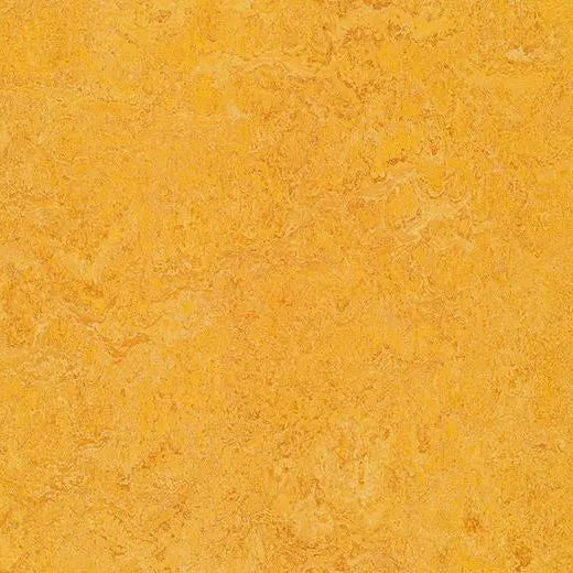 Forbo Marmoleum Real 3225 Dandelion Linoleum Sheet Flooring