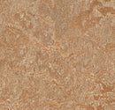Forbo 3233 Shitake (Partial Piece - Sample)