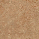 Forbo Marmoleum Marbled Real 3233-80119 Shitake Linoleum Sheet Flooring (79