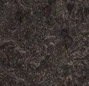 Forbo 3236 Dark Bistre (Partial Piece - Sample)