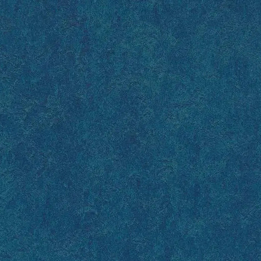 79