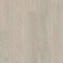 Shaw Titan HD Plus Platinum 3302V-01131 Serene Driftwood 8.98