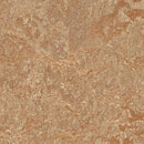 Forbo Marmoleum Click Cinch LOC Seal 333233 Shitake 12
