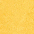 Forbo Marmoleum Click Cinch LOC Seal 333251 Lemon Zest 12